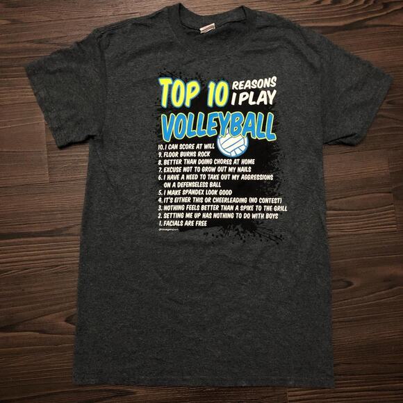 Grey ‘10 Reasons I Play Volleyball’ List Graphic Meme Tee - Picture 1 of 5